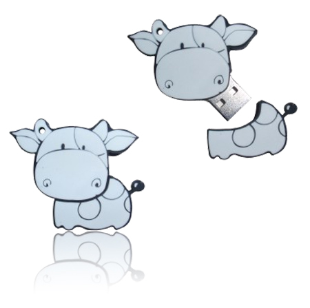 Custom USB Flash Drive