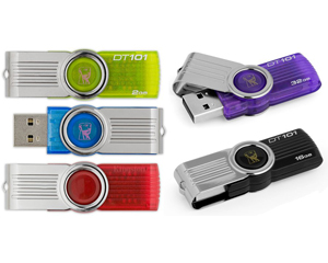 Kingston DataTraveler 101G2 USB Flash Dri