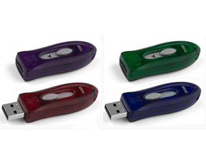 Kingston DataTraveler 110 USB Flash Drive