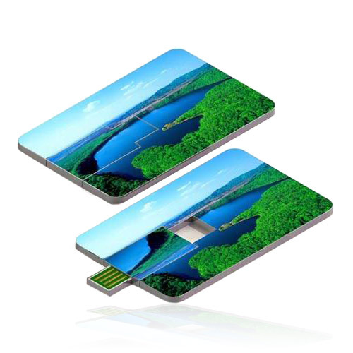 card USB Flash Drive