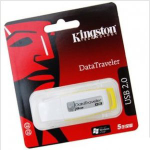 KingSton G3 USB Flash Drive